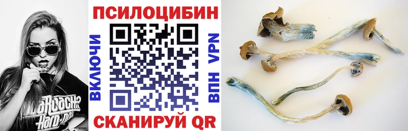 Галлюциногенные грибы Psilocybine cubensis  Петровск 